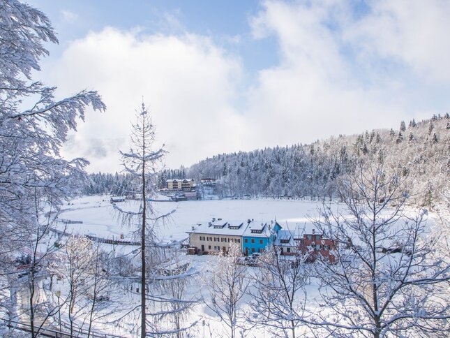 Lake Lavarone - On Freud’s footsteps