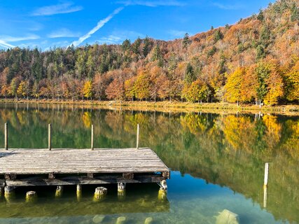 Lake Lavarone - On Freud’s footsteps
