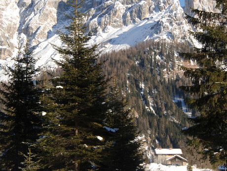 Cross-country skiing San Martino di Castrozza