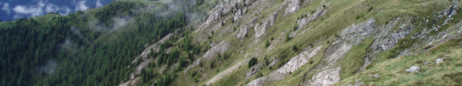 Il cuore verde della Val di Fiemme | © ZSC Alta Val di Stava, Cima Pizzancae