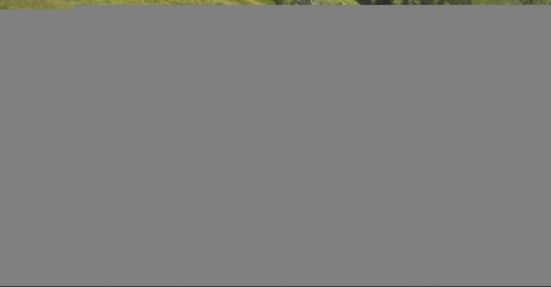 Webcam Pampeago  - Predazzo -  Obereggen - Passo Feudo
