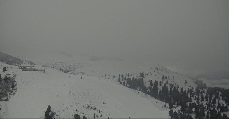 Webcam Pampeago  - Predazzo -  Obereggen - Seggiovia Monte Agnello