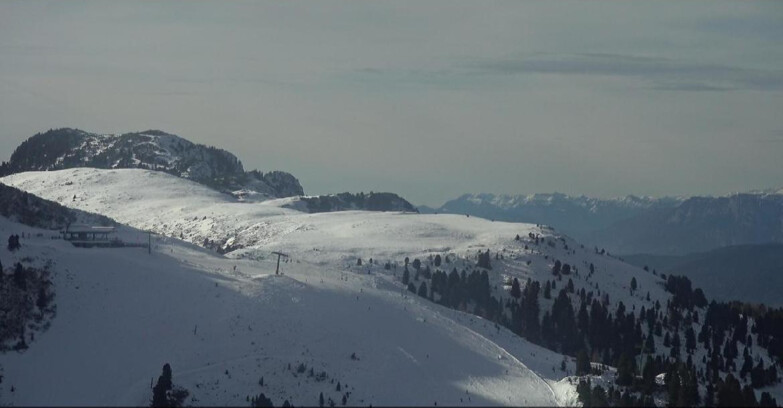 Webcam Pampeago  - Predazzo -  Obereggen - Chair lift Monte Agnello