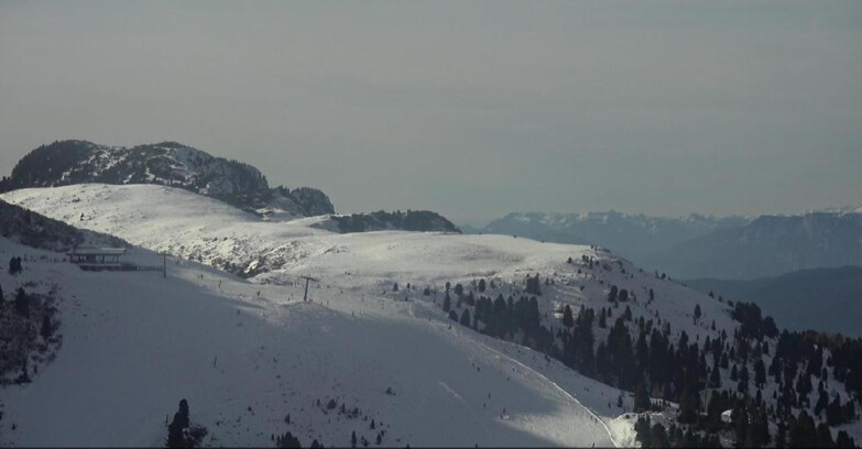 Webcam Pampeago  - Predazzo -  Obereggen - Seggiovia Monte Agnello