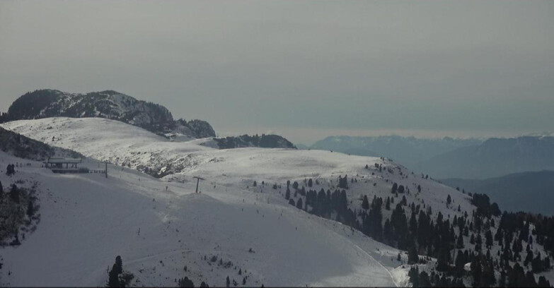 Webcam Pampeago  - Predazzo -  Obereggen - Seggiovia Monte Agnello