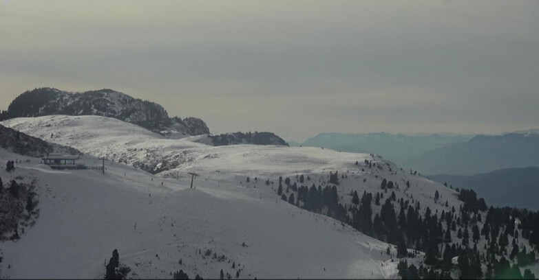 Webcam Pampeago  - Predazzo -  Obereggen - Seggiovia Monte Agnello