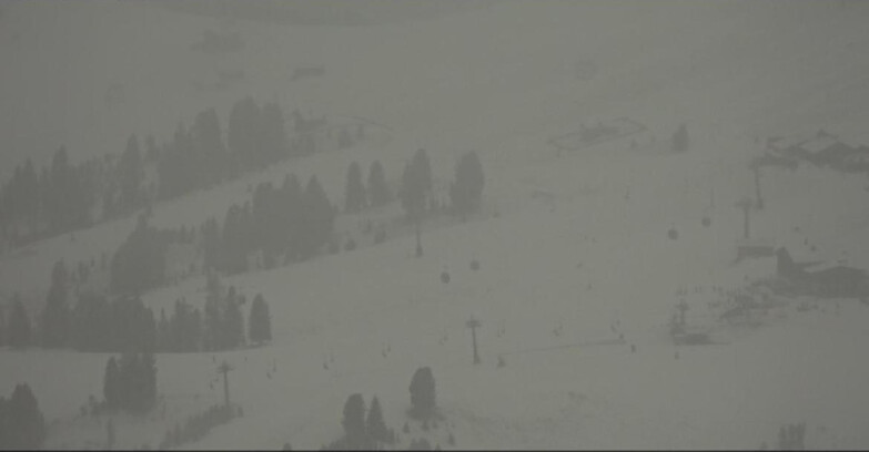 Webcam Pampeago  - Predazzo -  Obereggen - Rifugi Zischg e Ganischger