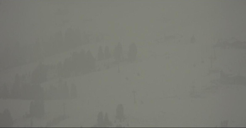 Webcam Pampeago  - Predazzo -  Obereggen - Rifugi Zischg e Ganischger