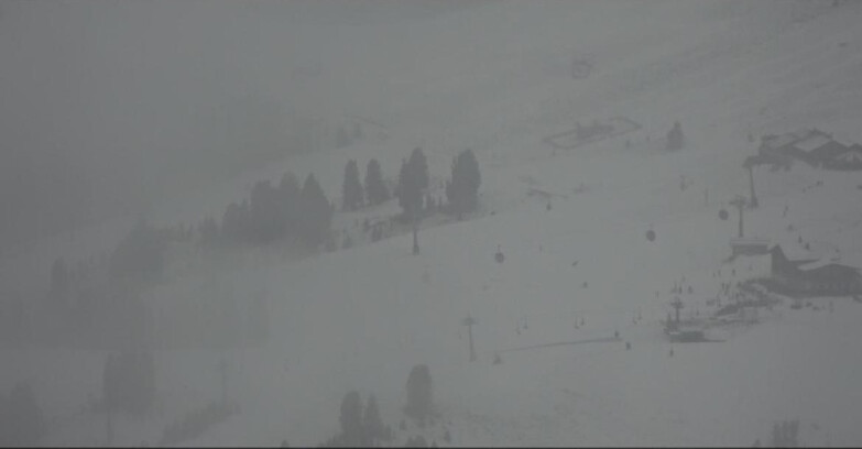 Webcam Pampeago  - Predazzo -  Obereggen - Rifugi Zischg e Ganischger