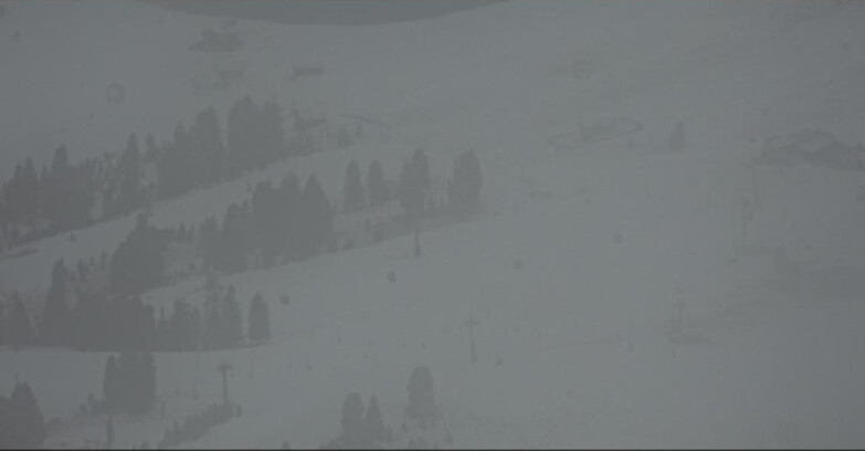 Webcam Pampeago  - Predazzo -  Obereggen - Rifugi Zischg e Ganischger