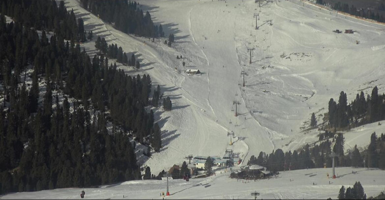 Webcam Pampeago  - Predazzo -  Obereggen - Seggiovia Obereggen