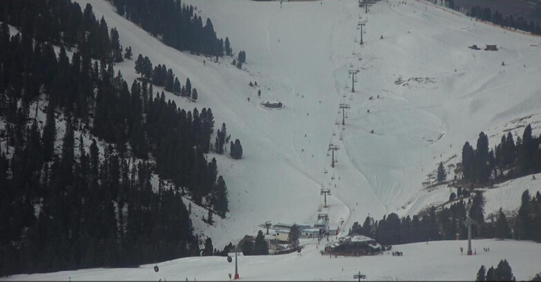 Webcam Pampeago  - Predazzo -  Obereggen - Seggiovia Obereggen