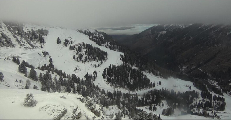 Webcam Pampeago  - Predazzo -  Obereggen - Pista Agnello