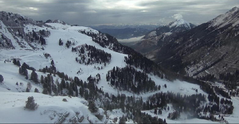 Webcam Pampeago  - Predazzo -  Obereggen - Piste Agnello