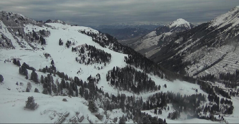 Webcam Pampeago  - Predazzo -  Obereggen - Pista Agnello