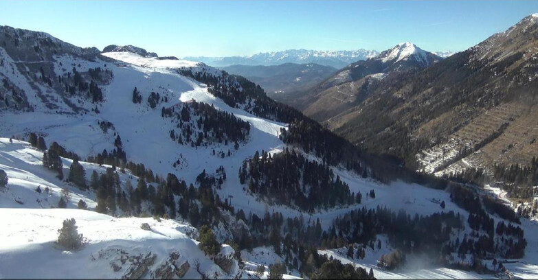 Webcam Pampeago  - Predazzo -  Obereggen - Pista Agnello