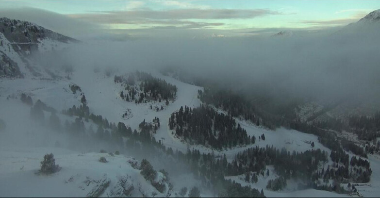 Webcam Pampeago  - Predazzo -  Obereggen - Pista Agnello