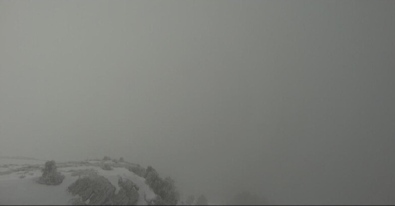 Webcam Pampeago  - Predazzo -  Obereggen - Piste Agnello