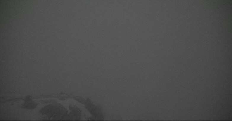 Webcam Pampeago  - Predazzo -  Obereggen - Piste Agnello