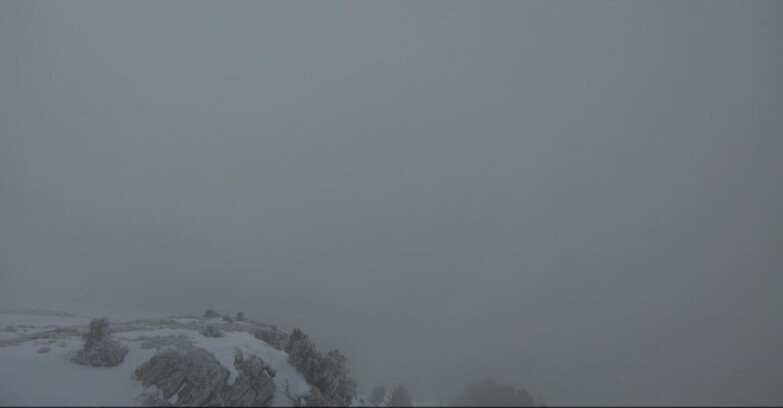 Webcam Pampeago  - Predazzo -  Obereggen - Piste Agnello