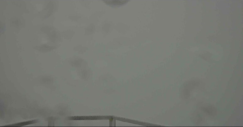 Webcam Alpe Cermis  - Prà Fiorì Val di Fiemme