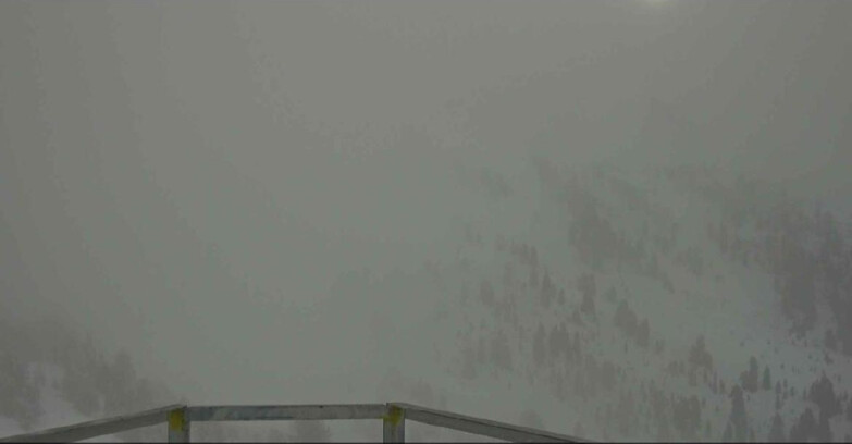 Webcam Alpe Cermis  - Prà Fiorì Val di Fiemme