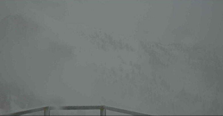 Webcam Alpe Cermis  - Prà Fiorì Val di Fiemme