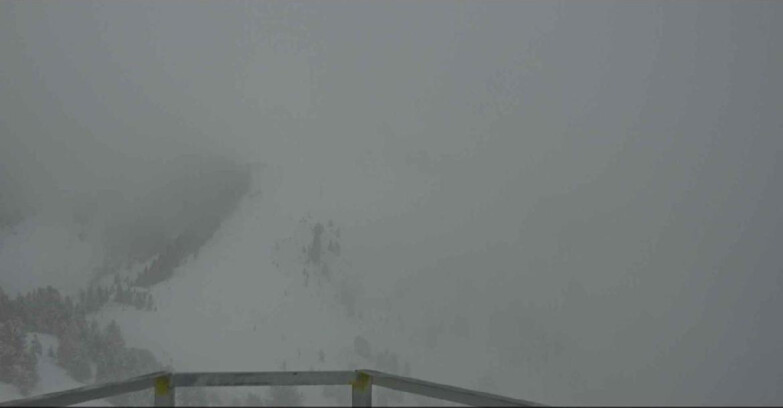 Webcam Alpe Cermis  - Prà Fiorì Val di Fiemme