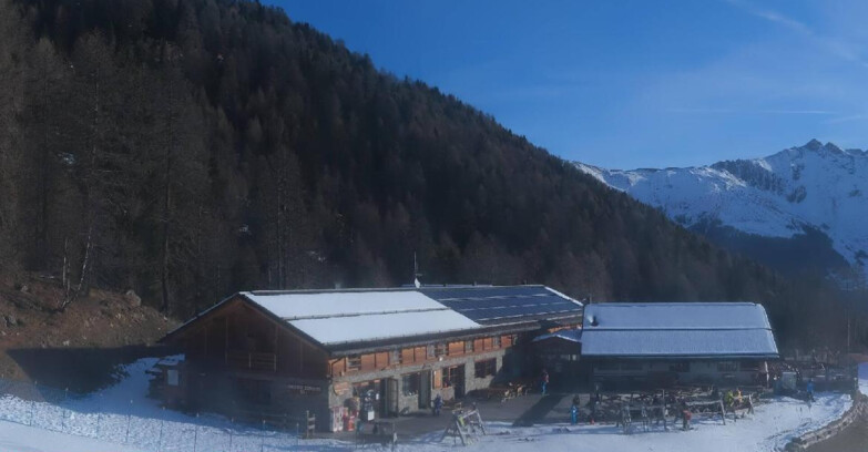 Webcam Pejo 3000 - Rifugio Scoiattolo