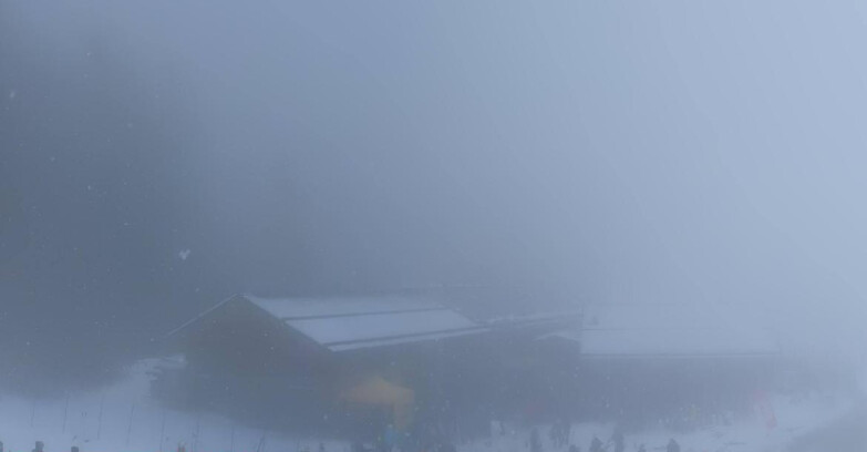 Webcam Pejo 3000 - Rifugio Scoiattolo