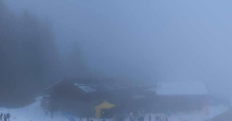 Webcam Pejo 3000 - Rifugio Scoiattolo