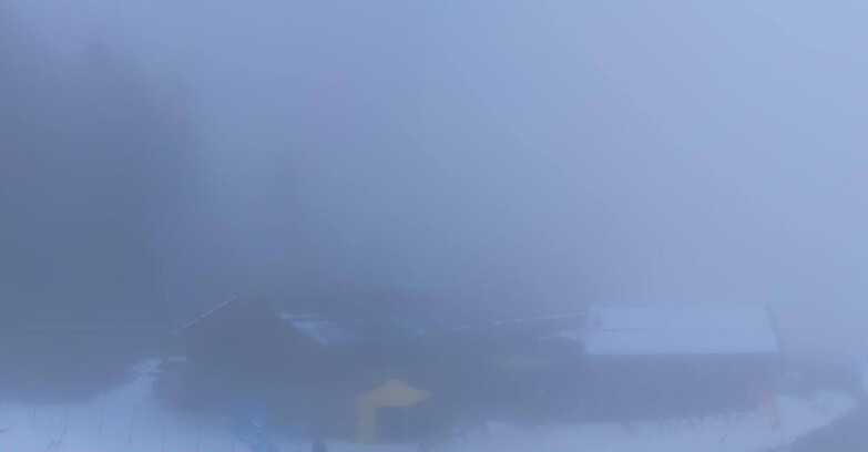 Webcam Pejo 3000 - Rifugio Scoiattolo