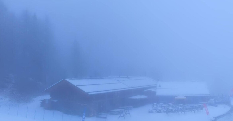 Webcam Pejo 3000 - Rifugio Scoiattolo