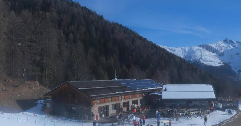 Webcam Pejo 3000 - Rifugio Scoiattolo