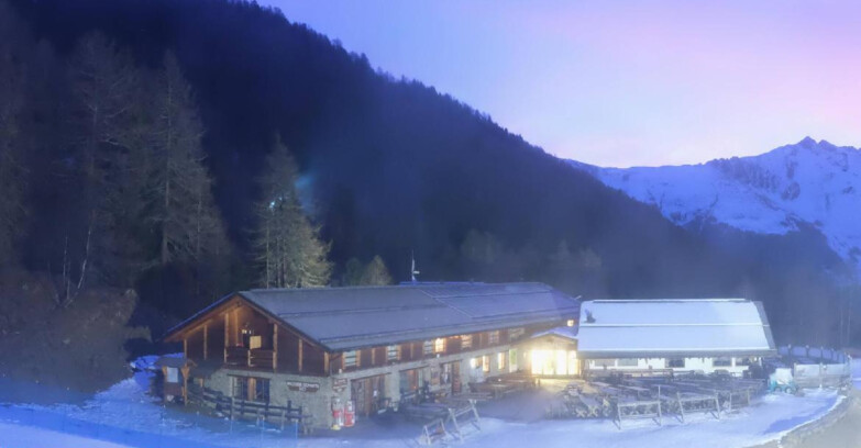 Webcam Pejo 3000 - Scoiattolo Berghütte