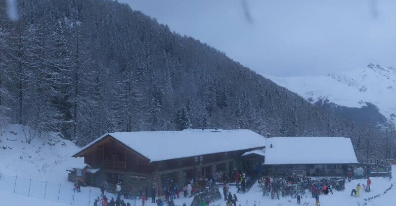 Webcam Пейо 3000 - Rifugio Scoiattolo