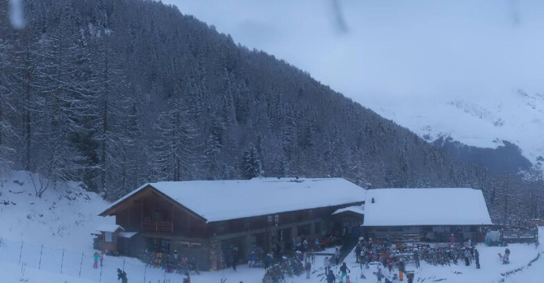 Webcam Pejo 3000 - Rifugio Scoiattolo