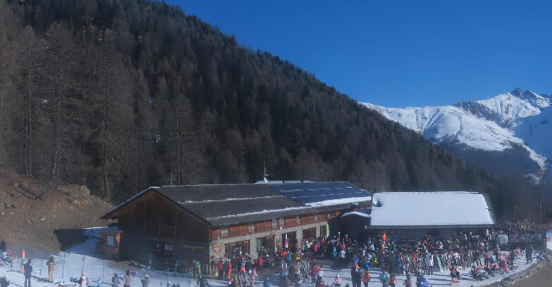 Webcam Pejo 3000 - Scoiattolo Berghütte