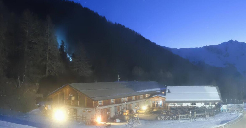 Webcam Pejo 3000 - Scoiattolo Berghütte