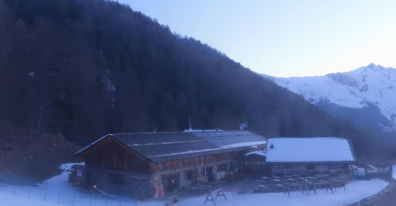 Webcam Pejo 3000 - Scoiattolo Berghütte