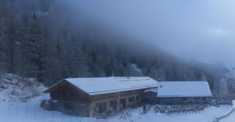 Webcam Pejo 3000 - Rifugio Scoiattolo