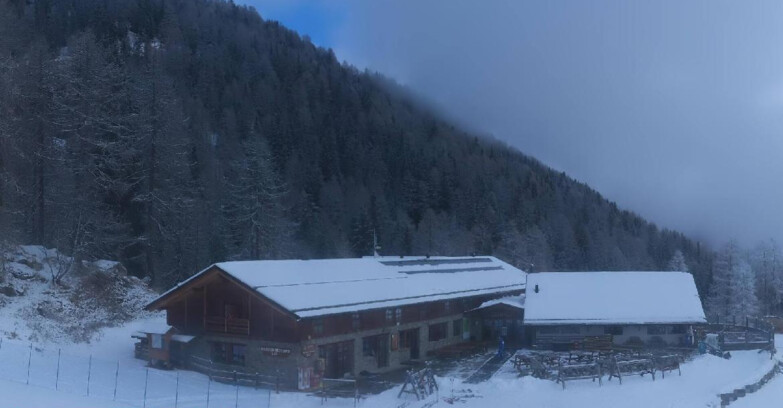 Webcam Pejo 3000 - Rifugio Scoiattolo