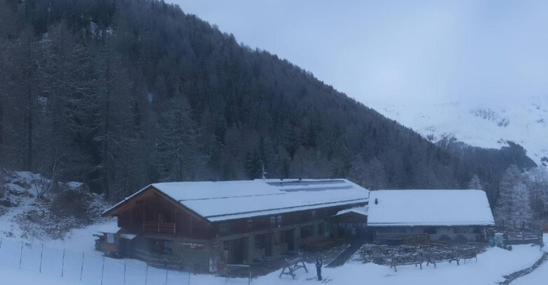 Webcam Pejo 3000 - Rifugio Scoiattolo