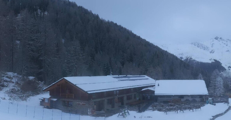 Webcam Pejo 3000 - Rifugio Scoiattolo