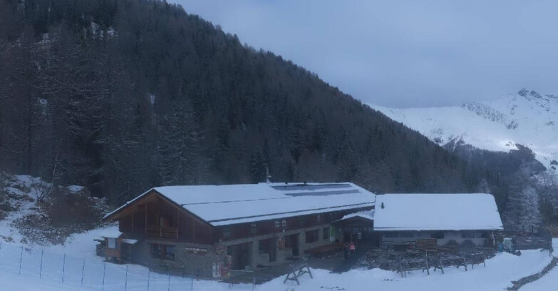 Webcam Pejo 3000 - Rifugio Scoiattolo