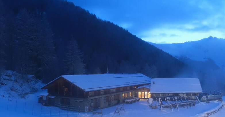 Webcam Pejo 3000 - Scoiattolo Berghütte