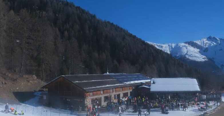 Webcam Pejo 3000 - Rifugio Scoiattolo