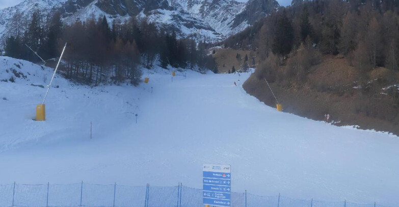 Webcam Pejo 3000 - Campo Scuola Scoiattolo