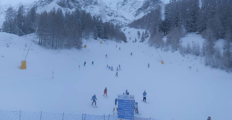 Webcam Пейо 3000 - Scoiattolo Ski School