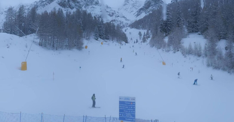 Webcam Пейо 3000 - Scoiattolo Ski School
